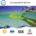 Cod Degradation Bacteria reduce tss cod and bod